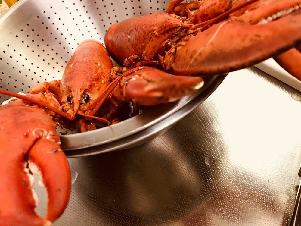 ロブスター改オマール海老を食す 佐々木 郁 子供から家族まで自然でおしゃれに残す人生の写真館 ライフスタジオ