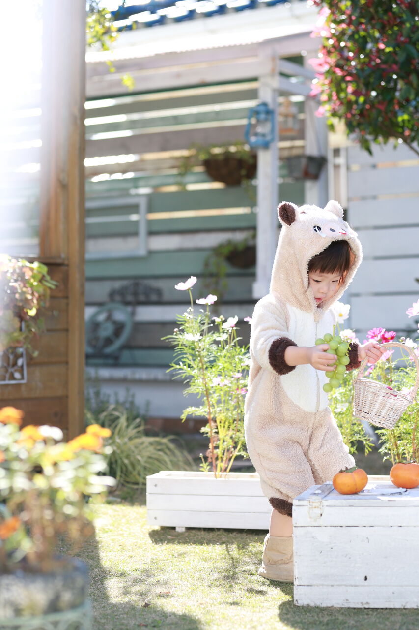 ライフスタジオ大宮店のお庭にかわいいイノシシさんが遊びに来ました 高津 智文 子供から家族まで自然でおしゃれに残す人生の写真館 ライフスタジオ