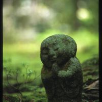 ブログ写真
