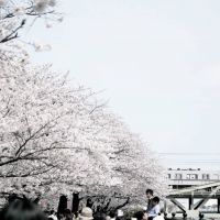 ブログ写真