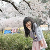 ブログ写真
