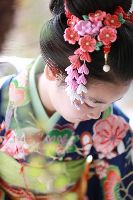 ブログ写真