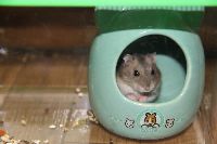 ブログ写真
