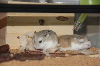ブログ写真