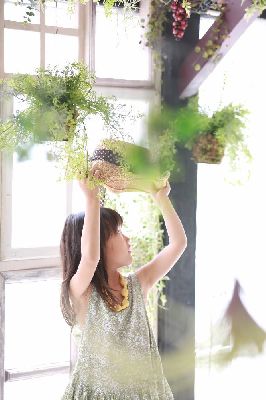 ブログ写真