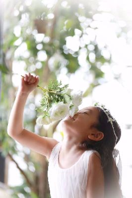 ブログ写真