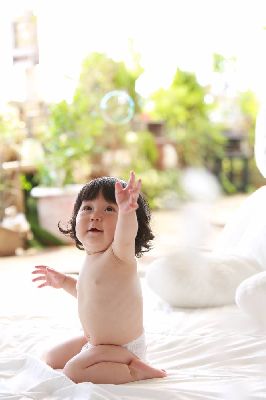 ブログ写真