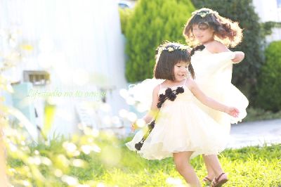 ブログ写真
