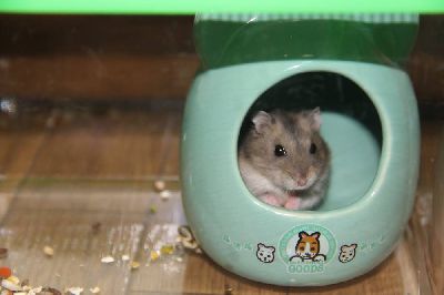 ブログ写真