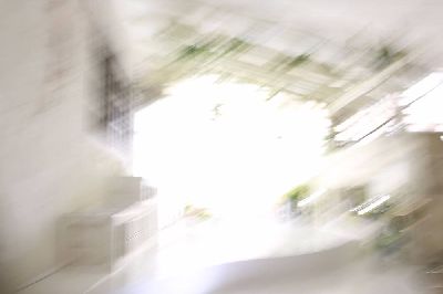 ブログ写真