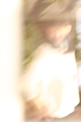 ブログ写真
