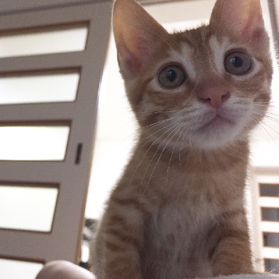 ブログ写真