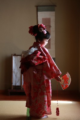 ブログ写真