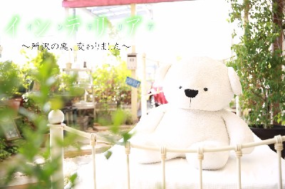 ブログ写真