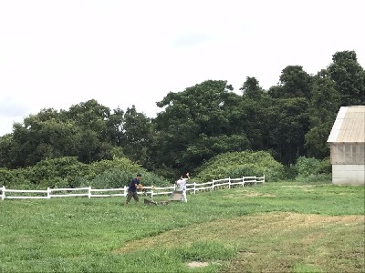 ブログ写真