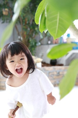 ブログ写真