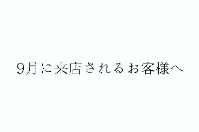 ブログ写真