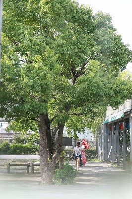 ブログ写真