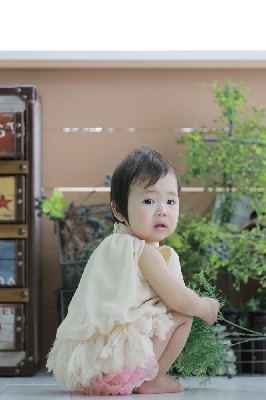 ブログ写真