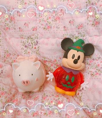 ブログ写真