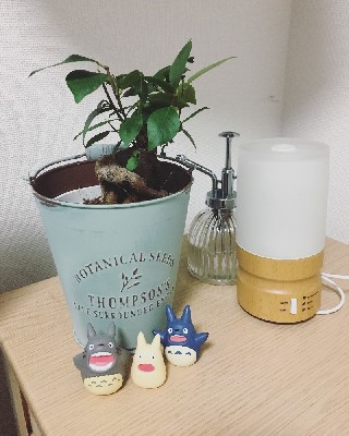 ブログ写真