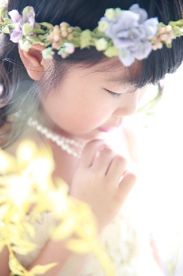 ブログ写真