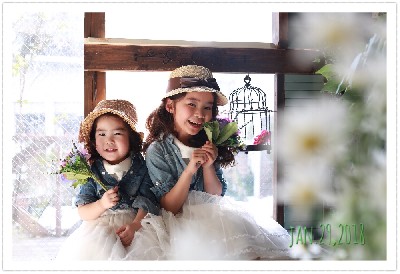 ブログ写真