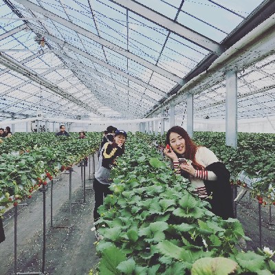 ブログ写真