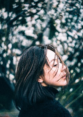 ブログ写真