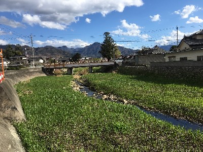 ブログ写真