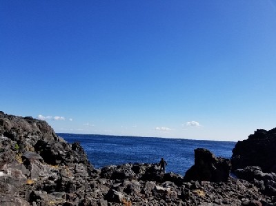 ブログ写真