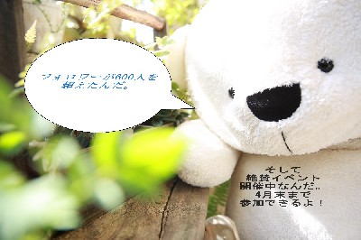 ブログ写真