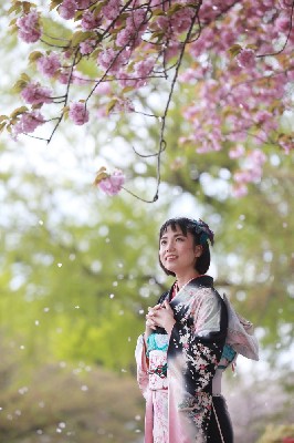 ブログ写真
