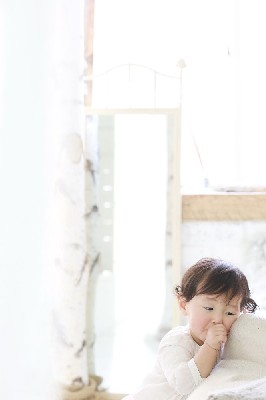 ブログ写真