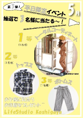 ブログ写真