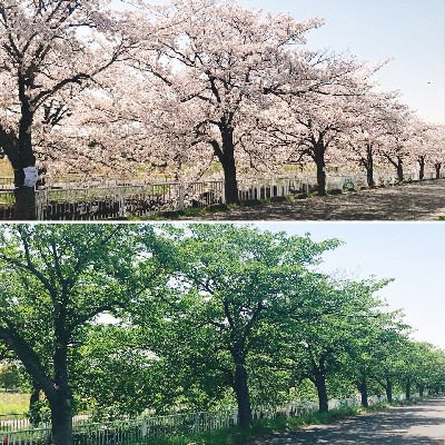 ブログ写真