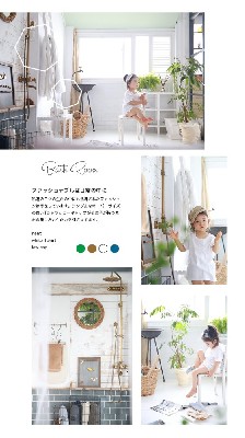 ブログ写真