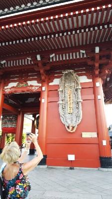 ブログ写真