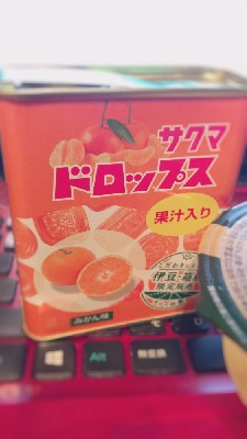 ブログ写真