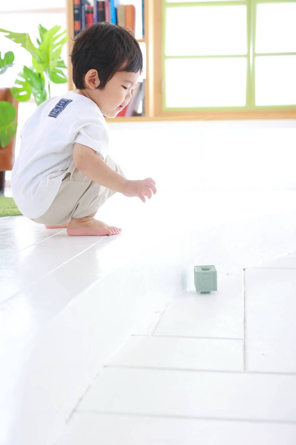 ブログ写真