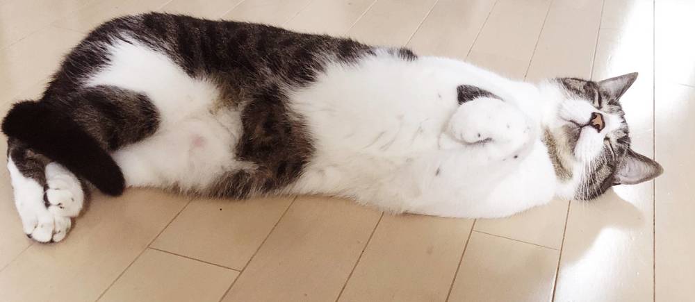 ブログ写真