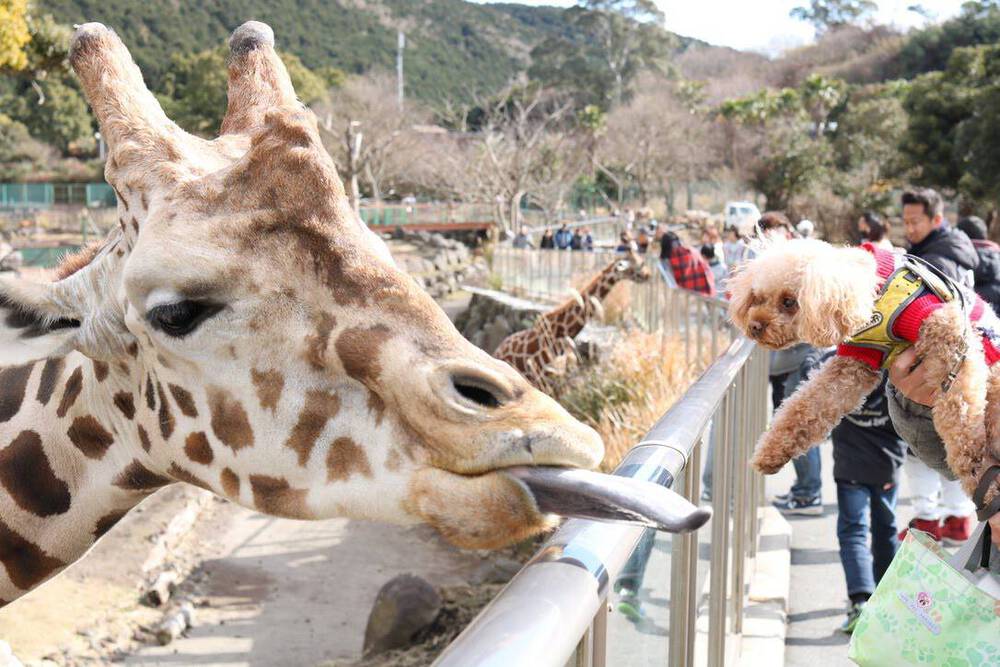 ブログ写真