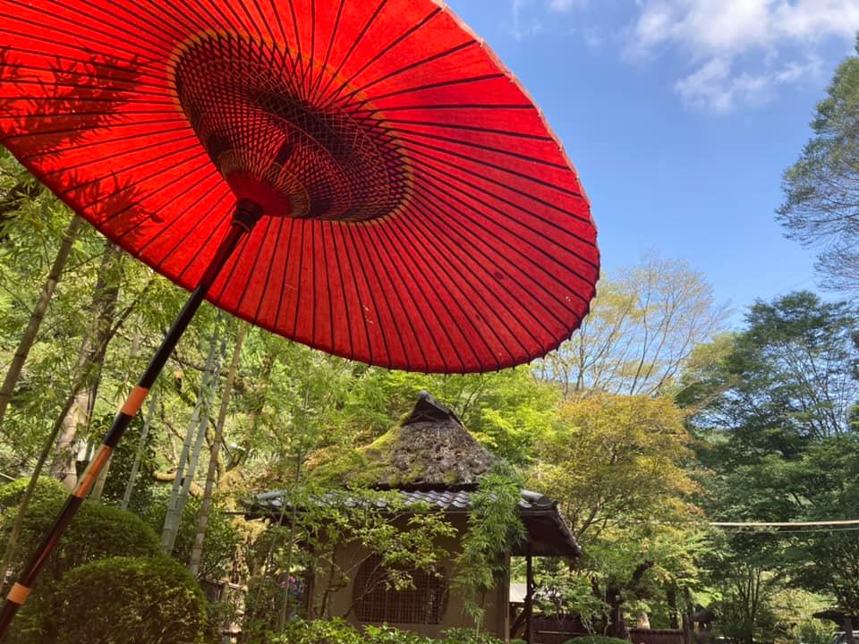 ブログ写真