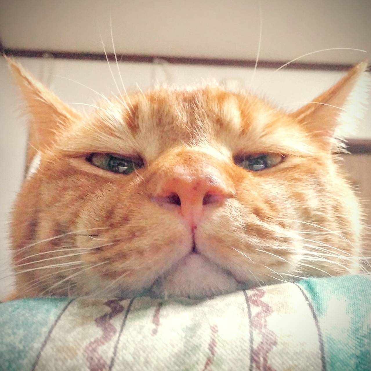 ブログ写真