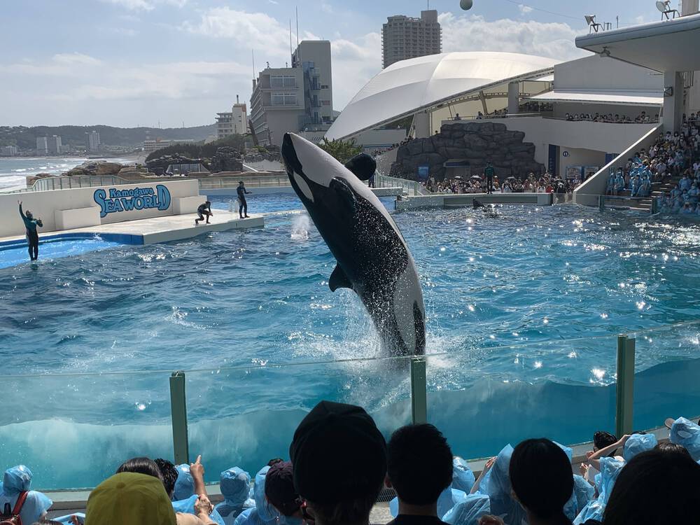 ブログ写真