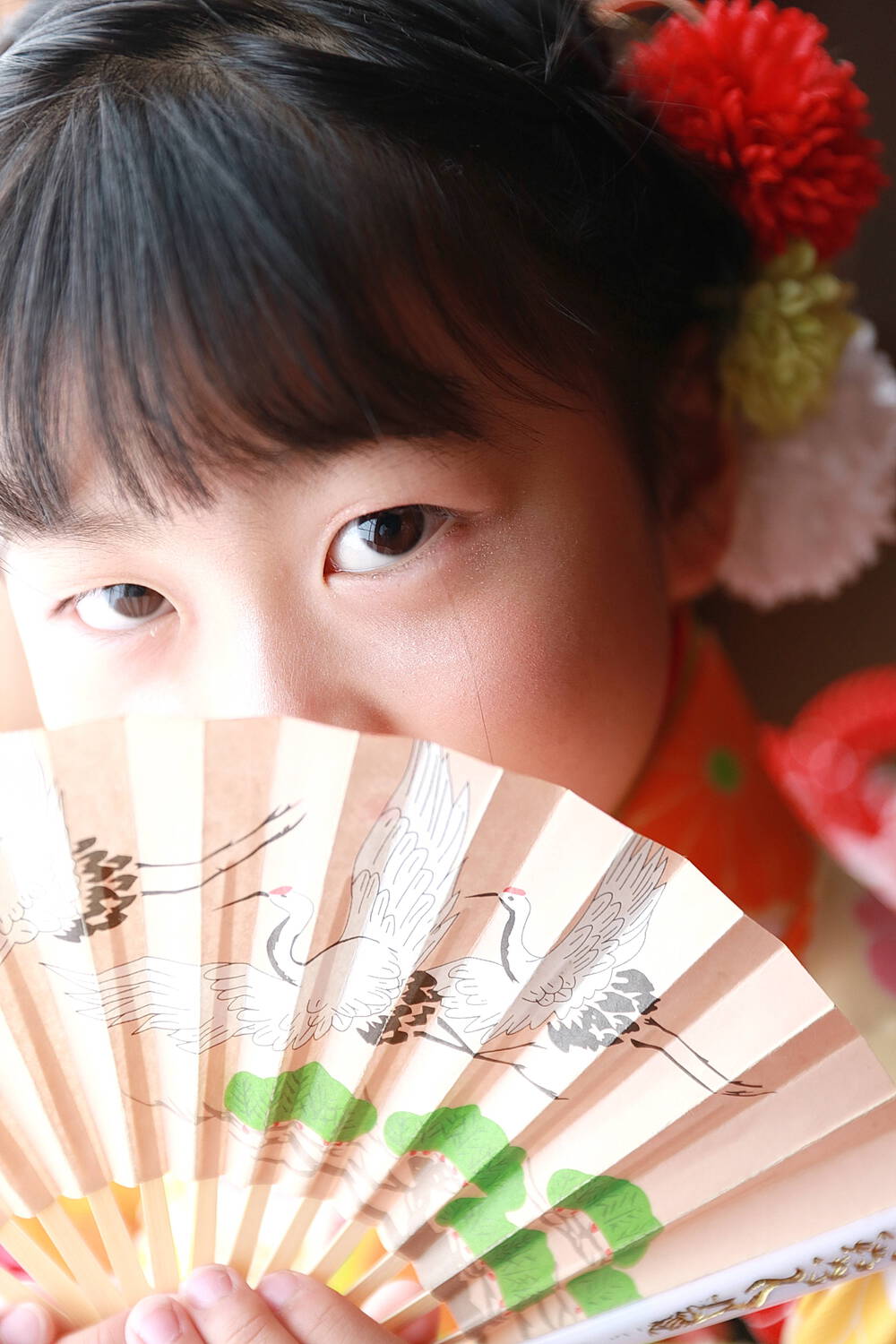 ブログ写真