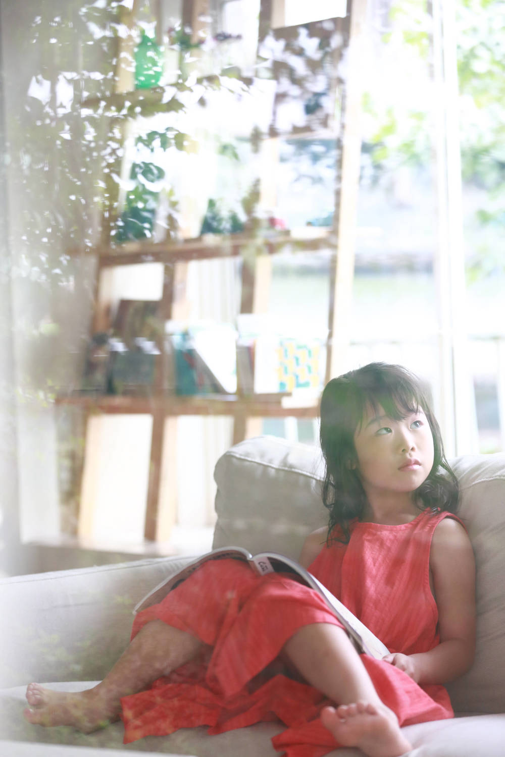 ブログ写真