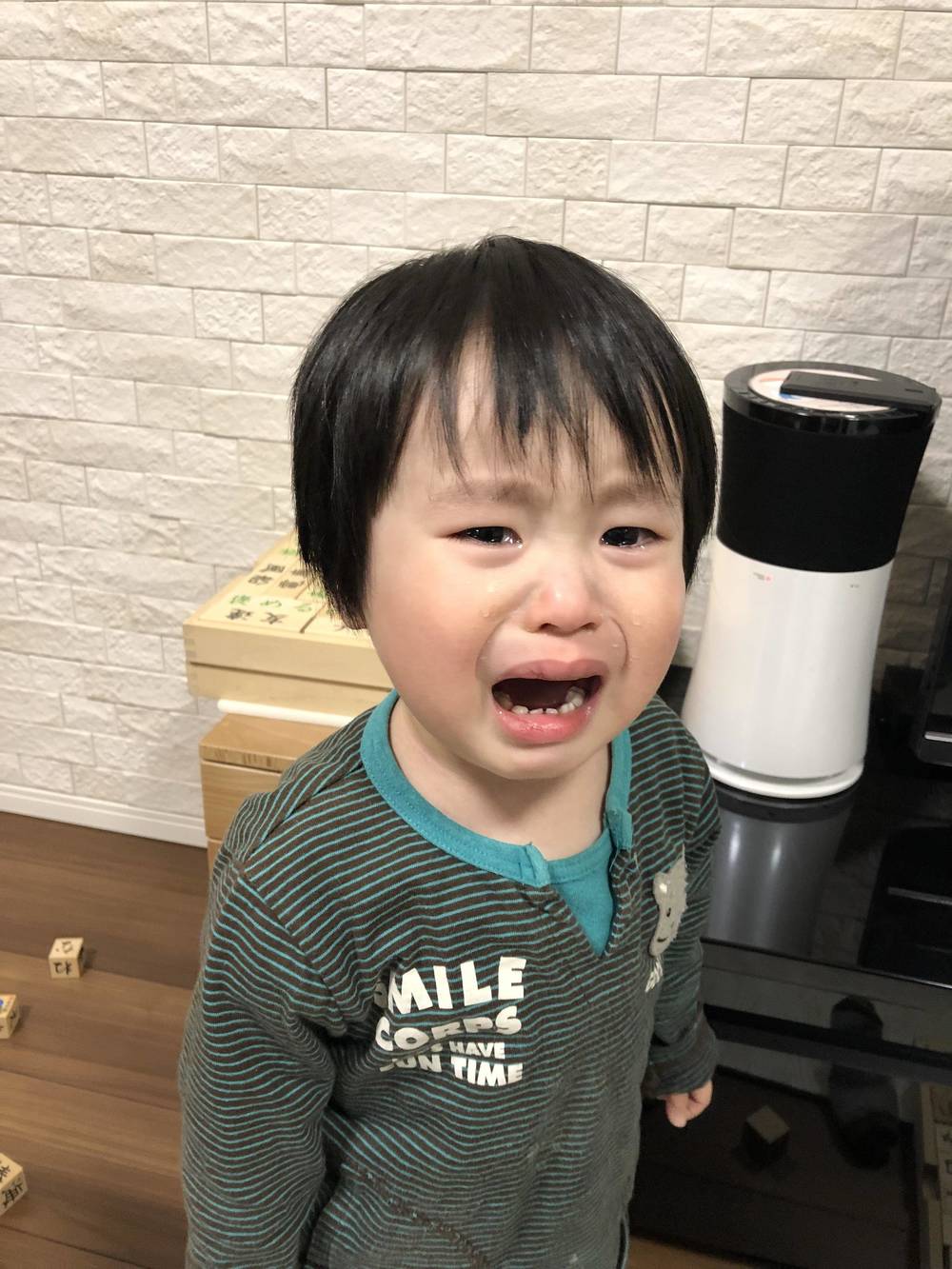 ブログ写真
