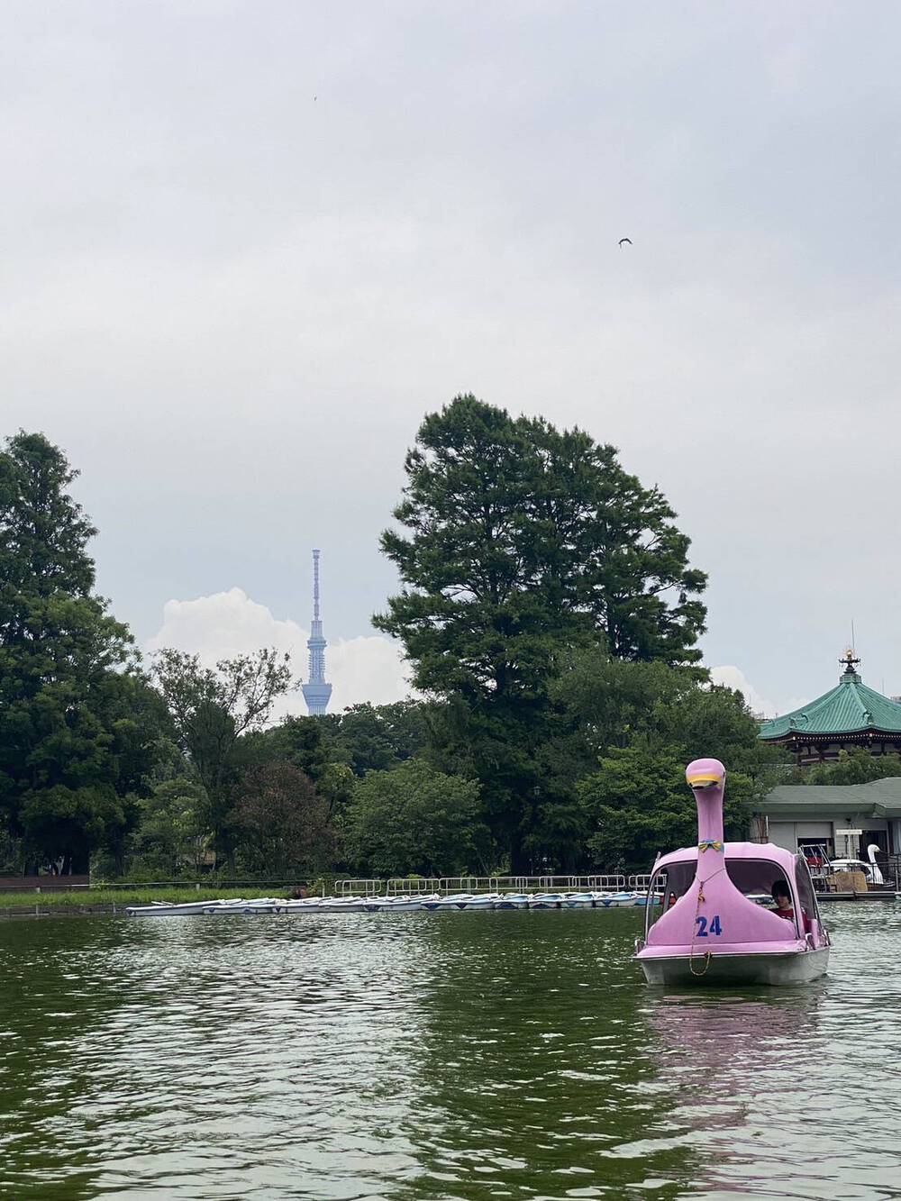 ブログ写真