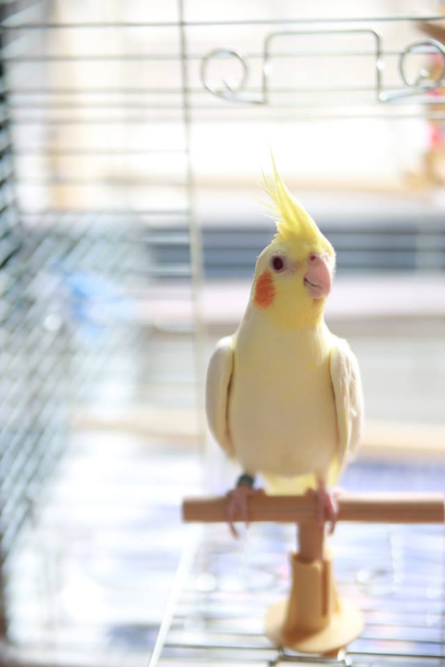 ブログ写真